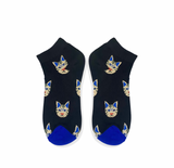 Cats | Socks Up